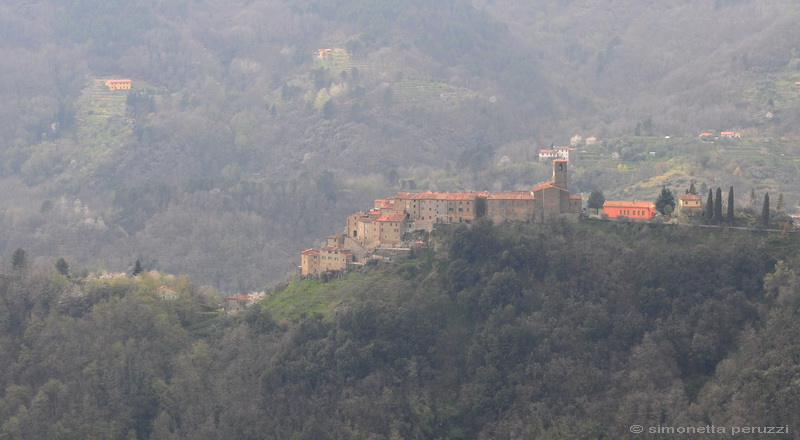 Svizzera pesciatina